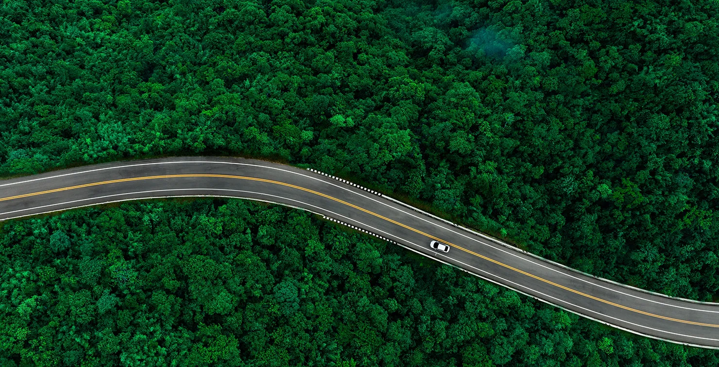 Aerial photo of a road through a forest