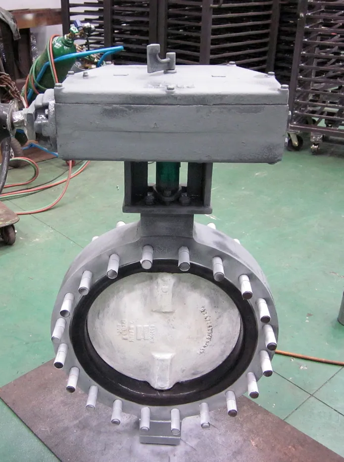 Valve 1