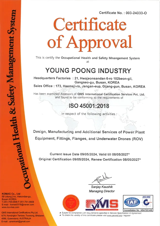 ISO 45001 (Occupational health and safety management system)